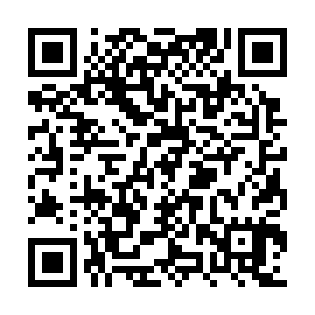 QR code for PZS305