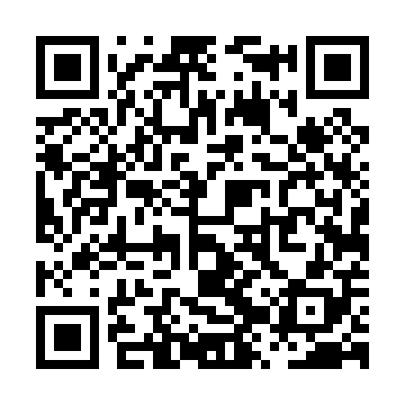 QR code for PZT008