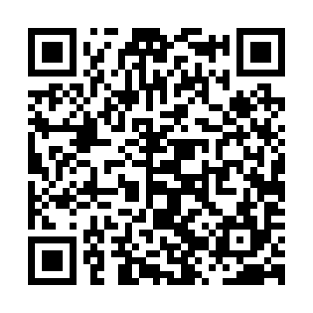 QR code for PZT294