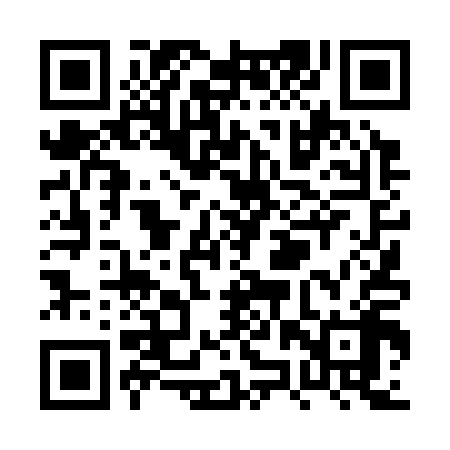 QR code for PZT318