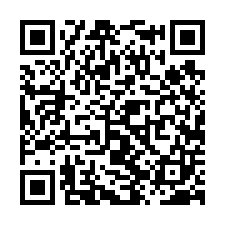 QR code for PZT603