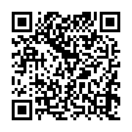 QR code for PZT878