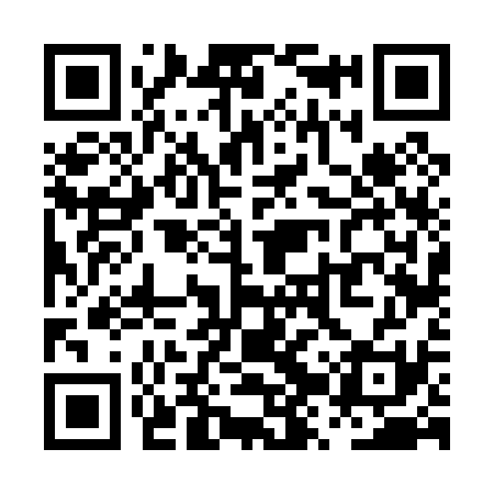 QR code for PZV031