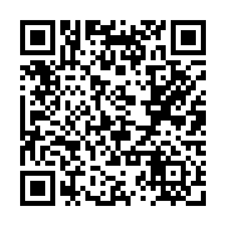 QR code for PZV111