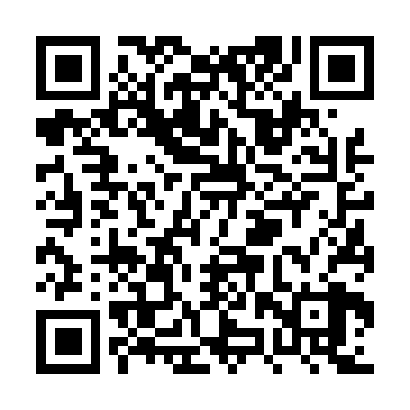 QR code for PZV428