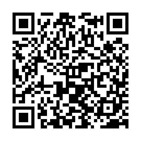 QR code for PZV541