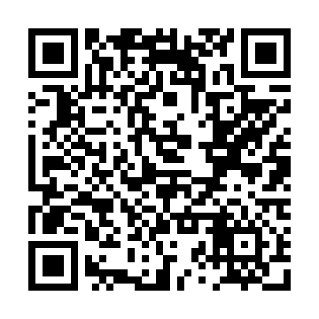 QR code for PZV616