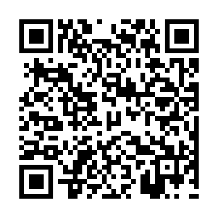 QR code for PZW391