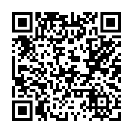 QR code for PZX294