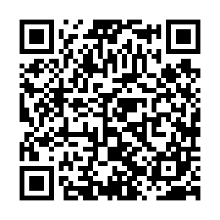 QR code for PZX607