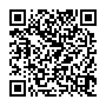 QR code for PZZ302