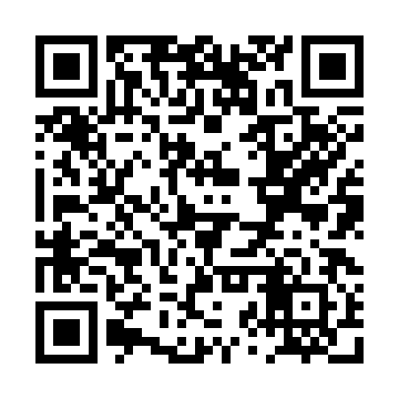 QR code for PZZ382