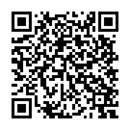 QR code for PZZ503