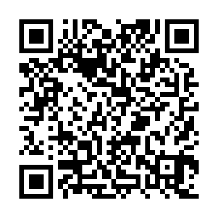 QR code for PZZ801
