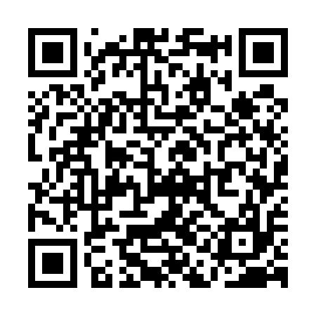 QR code for QAG517