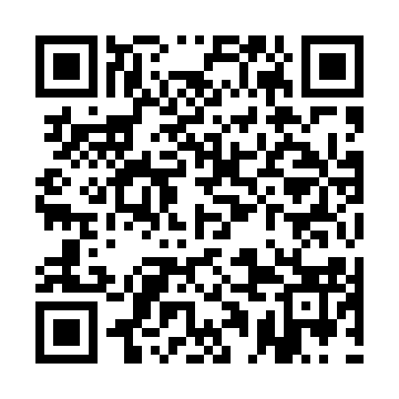 QR code for QAI413