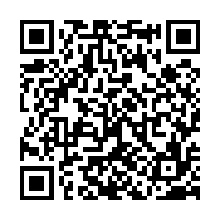 QR code for QAO516