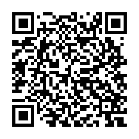 QR code for QAR306