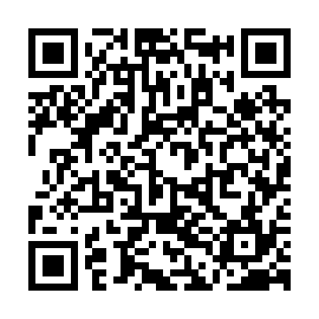 QR code for QDG234