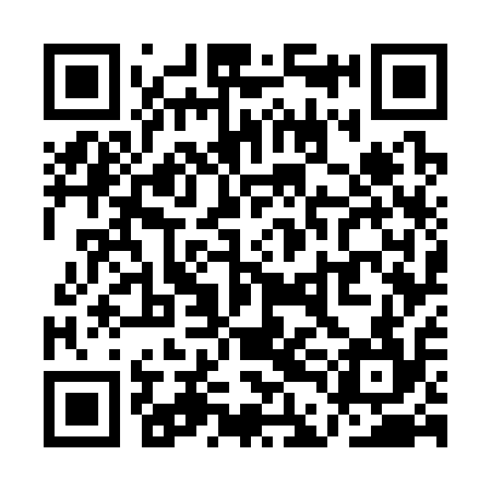 QR code for QDG314