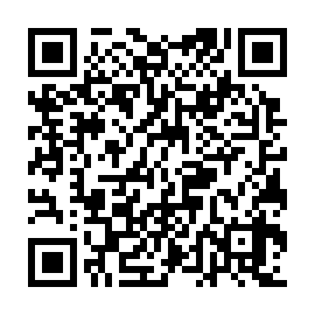 QR code for QDG338