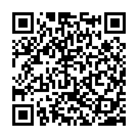 QR code for QDI119