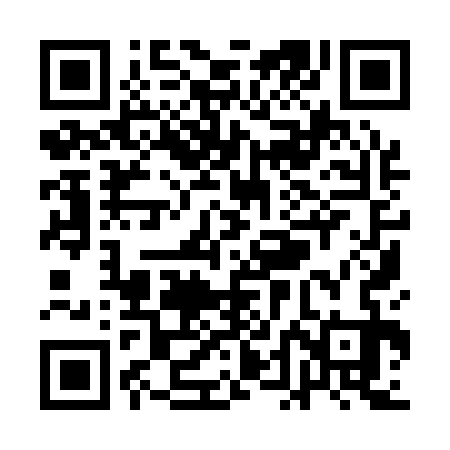 QR code for QDI133