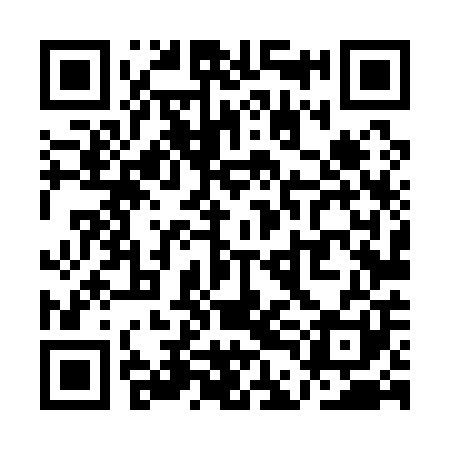 QR code for QDL101