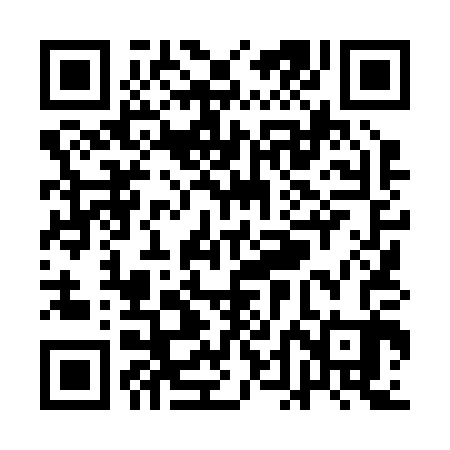 QR code for QDL203