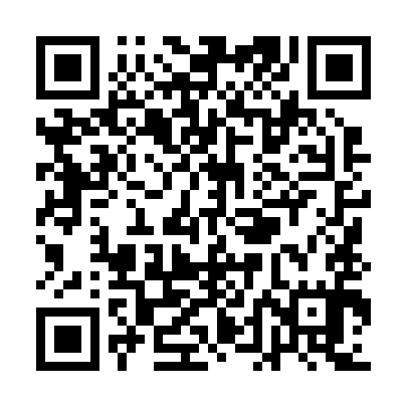 QR code for QDL295