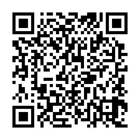 QR code for QDL389