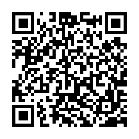 QR code for QDL696