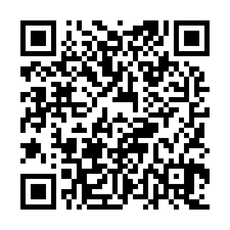 QR code for QDL924