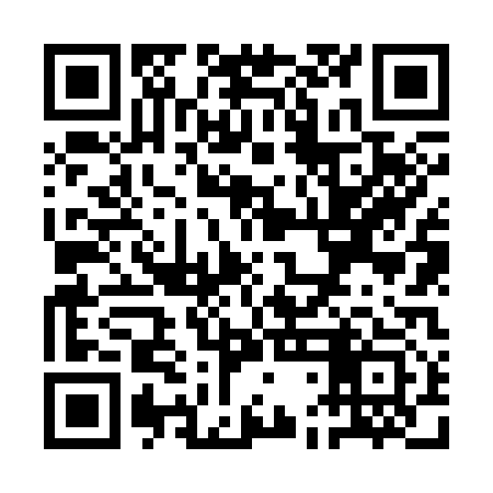 QR code for QDN313