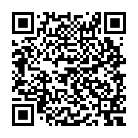 QR code for QDP391