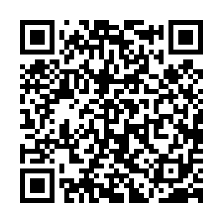 QR code for QDP411