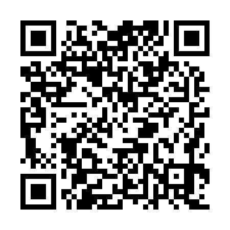 QR code for QDP971
