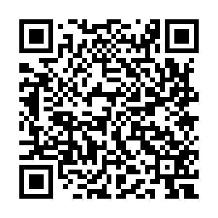 QR code for QDQ953