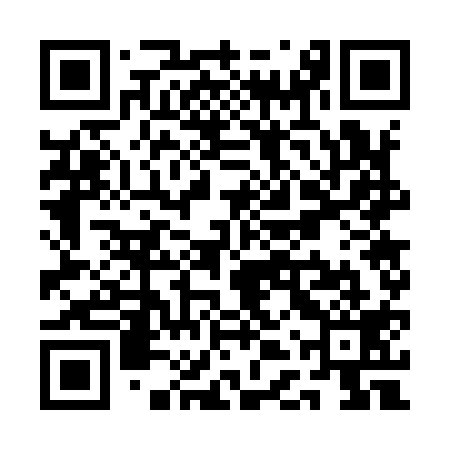 QR code for QDW919