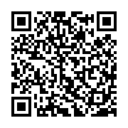 QR code for QDX411