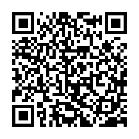 QR code for QDX951