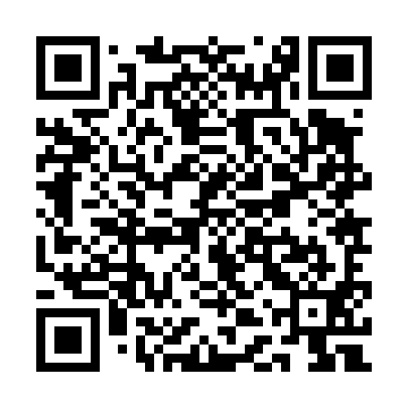 QR code for QDZ491