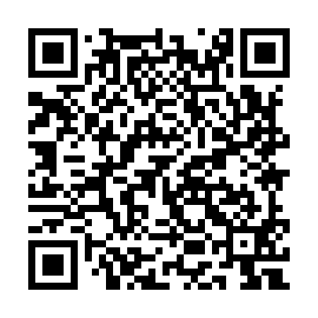 QR code for QEI991