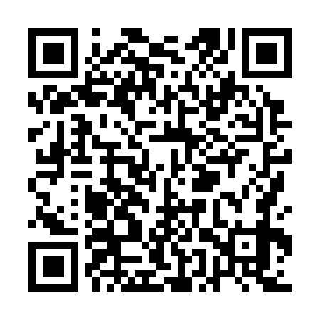 QR code for QEX379