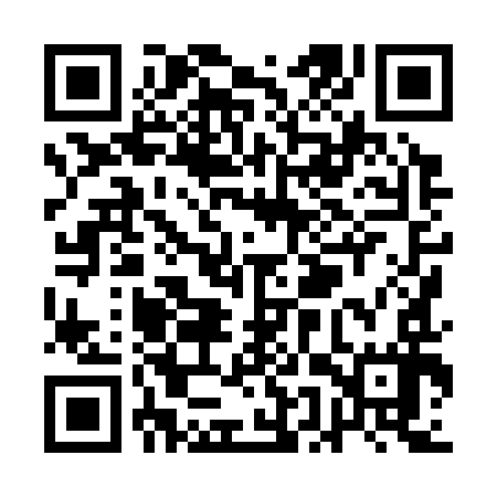 QR code for QEX397