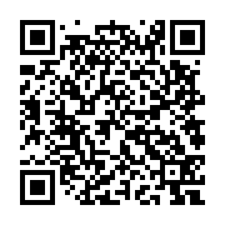 QR code for QFF533