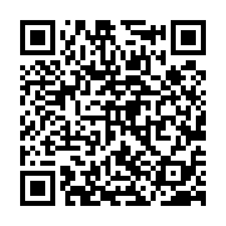 QR code for QFL519