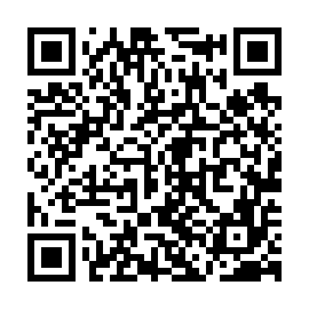 QR code for QFL656