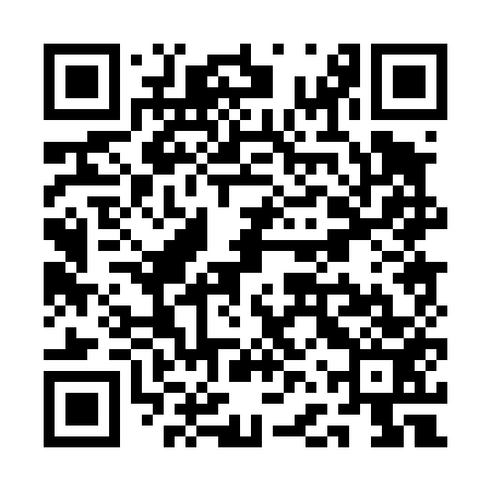 QR code for QFP453