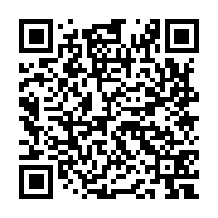 QR code for QFQ971